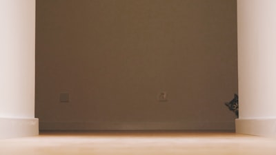 توتنهام مباشر اليوممتابعة حية لأهم أحداث الفريق